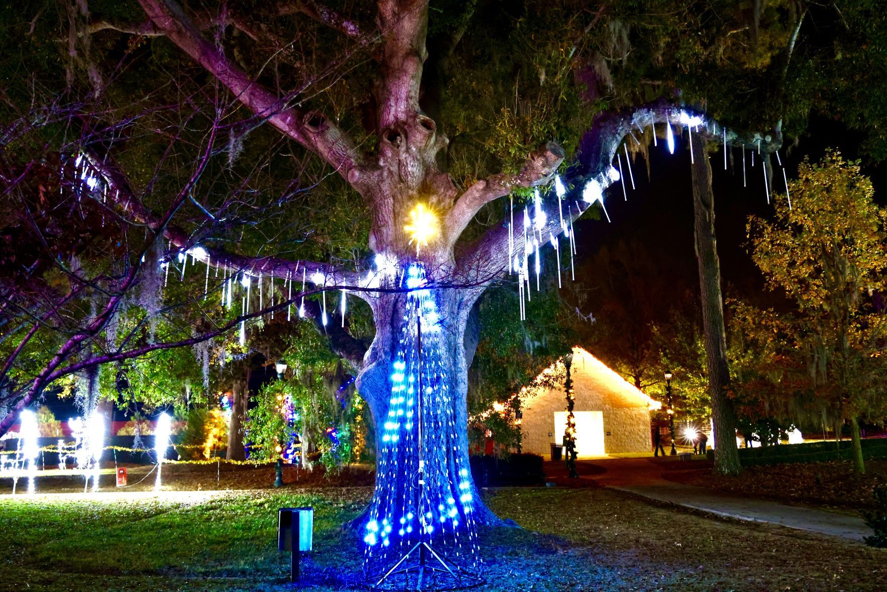 Orangeburg Christmas Lights